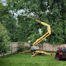 Vass, NC Tree Removal Company