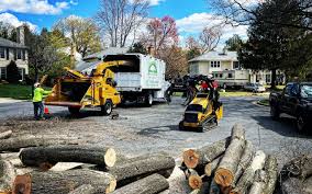 Best Commercial Tree Services  in Vass, NC